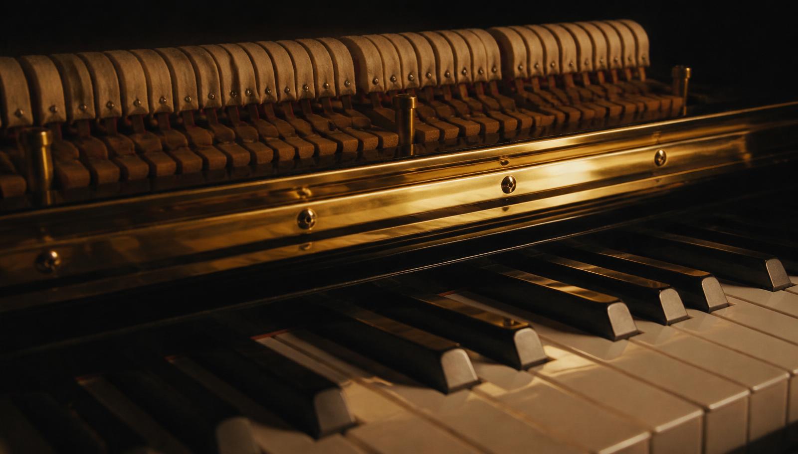 Detail of grand piano keys and brass hammer rail lit by warm low light before a Chopin recital